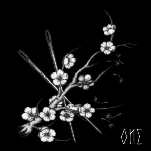 White flowers and branches in a black background