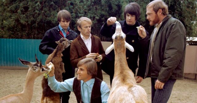 The Beach Boys band